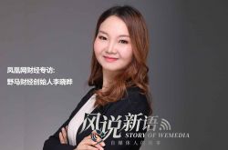 （6分钟教程）武汉市咨询公司排名_哔哩哔哩-3